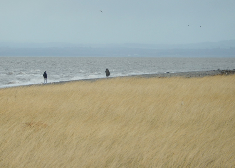 Mawbray Bank
