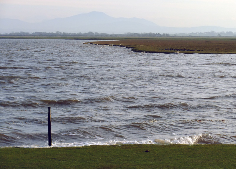 Grune Point